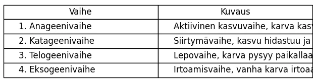 parran kasvun 4 vaihetta